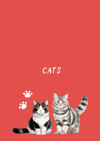 Talking Cats on red