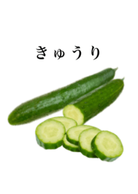 きゅうり です　夏野菜 キュウリ