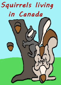 Squirrels living in Canada