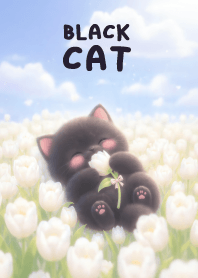 Pretty Black cat In White Tulip