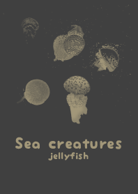 Sea crt kurogakiiro