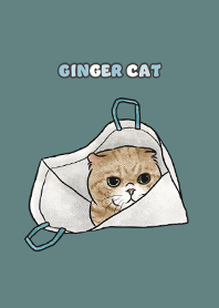 gingercat7 / cadet blue