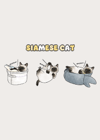 siamesecats5 - light beige