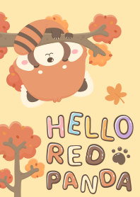 Hello Red Panda | Autumn