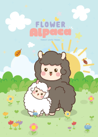 อัลปากา สวนดอกไม้ คิ้วตี้