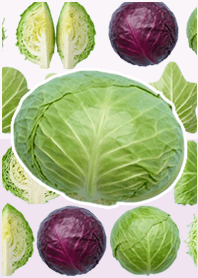 白菜真人表演 淺紫色