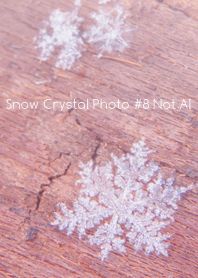Snow Crystal Photo #8-27Not AI