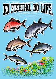海水魚 3