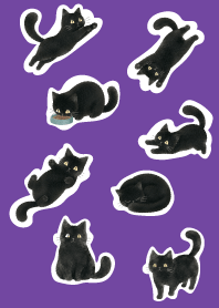 A unique cat15 purple