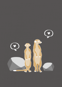 狐獴Meerkat