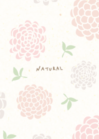 Dull color ball flower30 from Japan