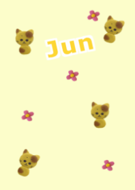じゅん