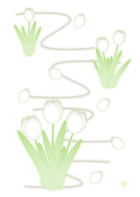 White Tulip (Green V.4)