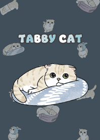 creamtabby3 - indigo