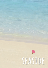 海濱 冰'灰色的'