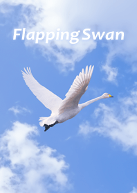 Flapping Swan