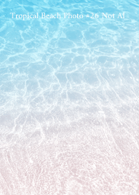 Tropical Beach Photo #26 Not AI