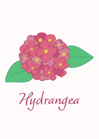 Hydrangea-03*