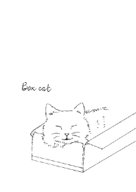 Box cat1-2