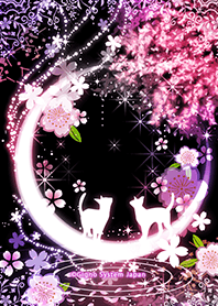 Crescent Moon And Cherry Tree And Cat Line Theme Line Store