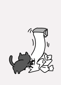 Cat and Toilet Paper