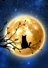 Tail bent cat calling for happiness Moon