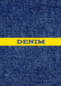 デニム　アイコン　49