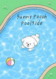 Sunny Pooch Poolside