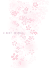 -CHERRY BLOSSOM-