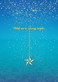 Wish on a starry night#28*Blue*