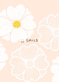 Lace-like white flowers3 from Japan