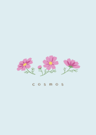 Simple flower/コスモス(ブルー)