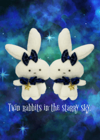 Twin rabbits in the starry sky.1