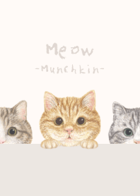 Meow - Munchkin - BEIGE