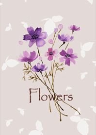 Cosmos flowers swaying in the breeze13