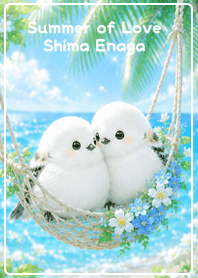 green Summer of Love Shima Enaga