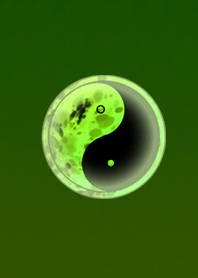 Dark Yin Diagram Green