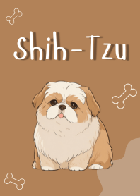 Shih Tzu - Dog