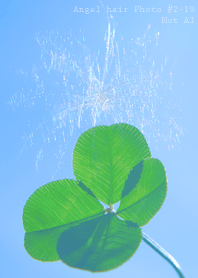 Angel hair Photo #2-19 Not AI