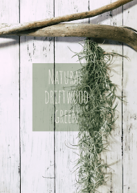 Natural driftwood_green_02