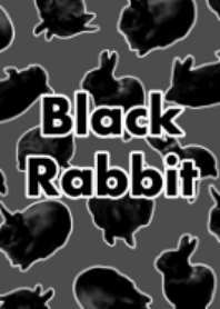 Black rabbit!!