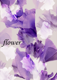 Sweet pea, full of clarity.15