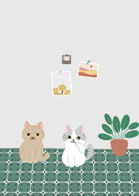 cat in the house / light grey