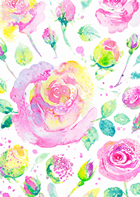 Beautiful rose flower(R4306)