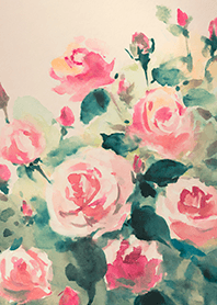 Beautiful rose flower(R4719)