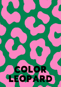 COLOR LEOPARD THEME :24