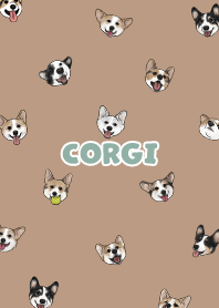 corgicorgi6 - mocha