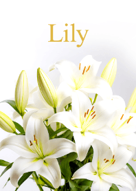 "Lily vol.2" theme