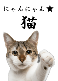 Engraçado CAT-branco3