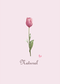 Remake tulip1.